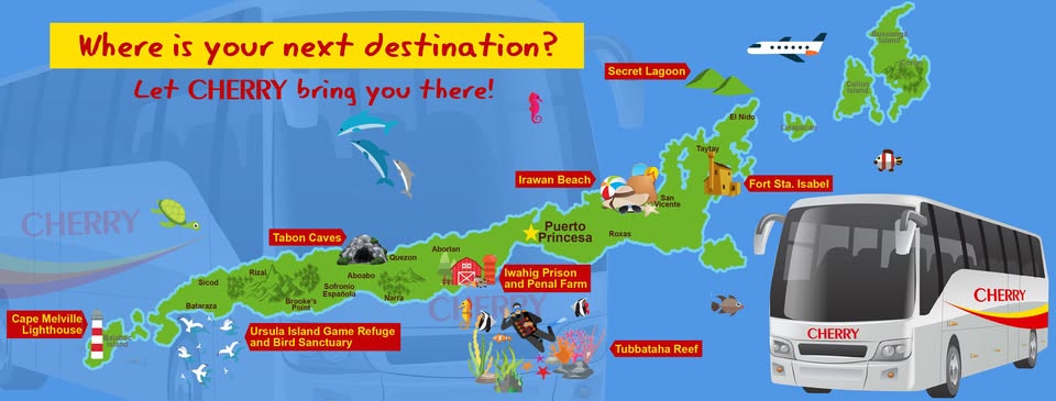 Cherry-Bus-4
