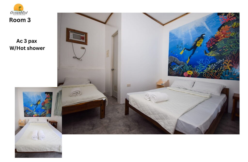 OceanMist-Port-Barton-13